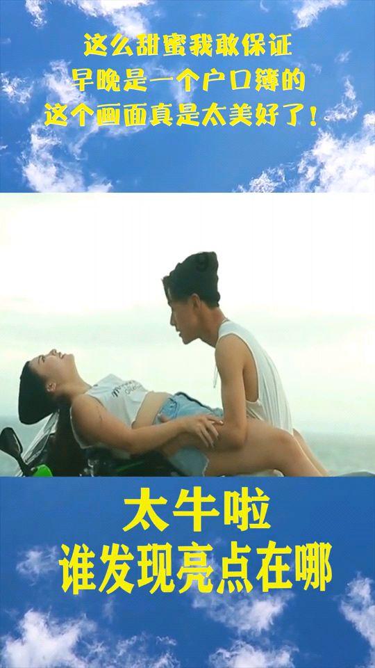 小猫钓鱼开船版最新版下载